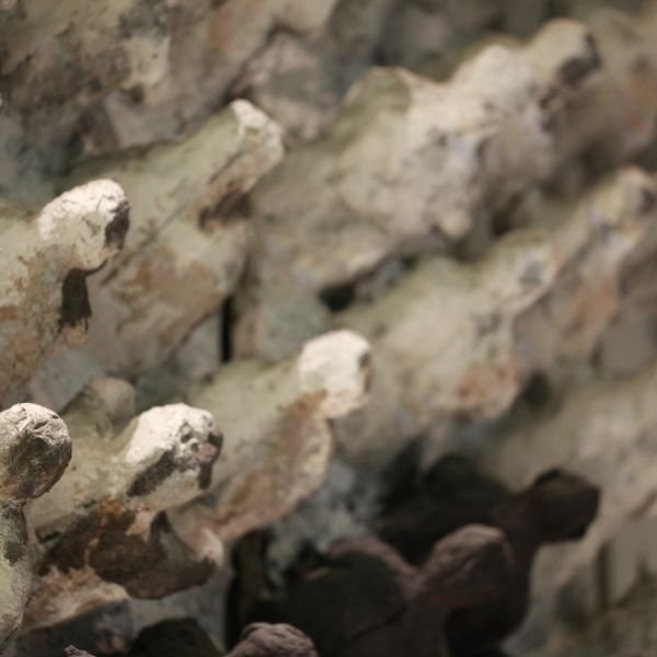 Tu Clínica Dental de Confianza en Vigo